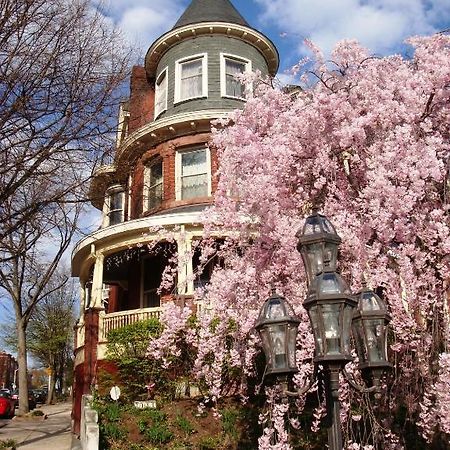 Wilson House Bed & Breakfast Baltimore Eksteriør bilde