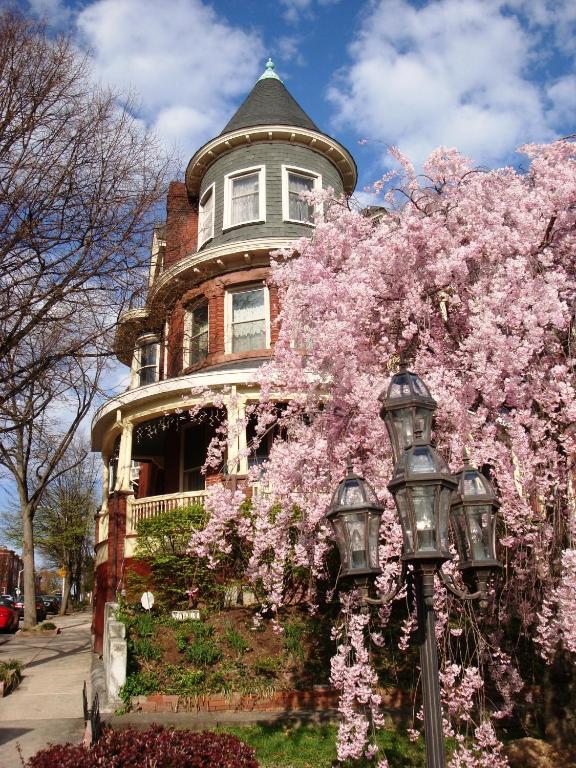 Wilson House Bed & Breakfast Baltimore Eksteriør bilde